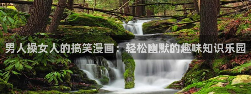 漫蛙怎么下载不了了