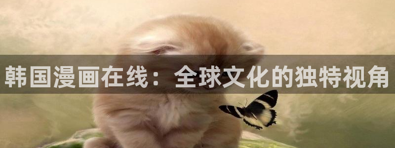 漫蛙上