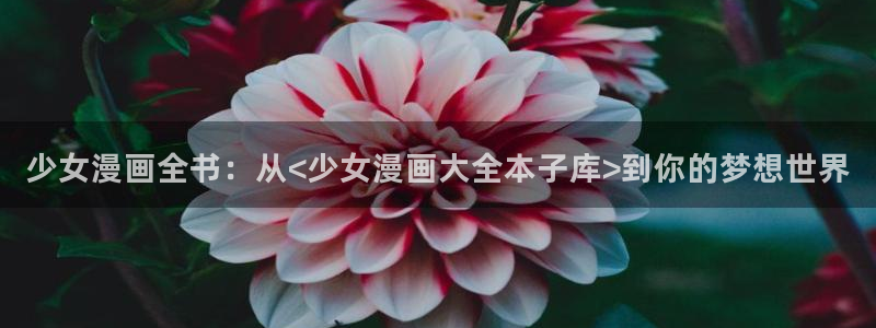 漫蛙怎么下载正版