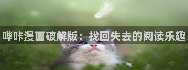 漫蛙 野画集