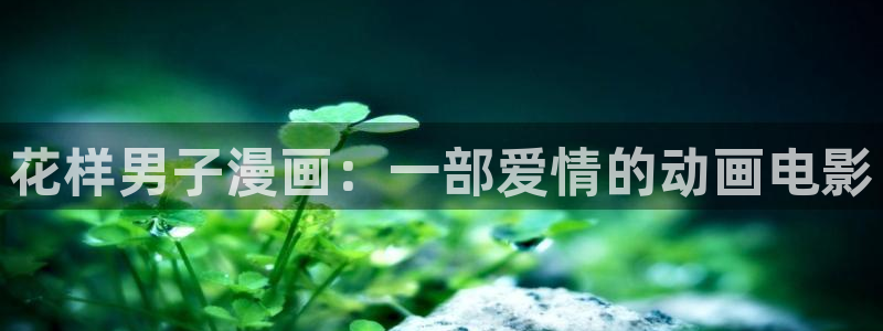 漫蛙 2