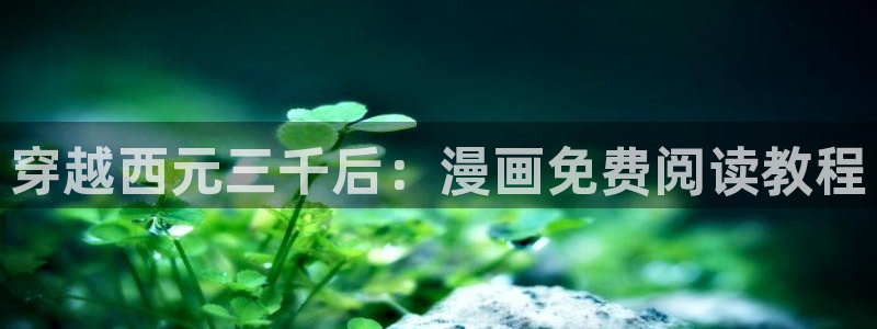 漫蛙下载链接正版