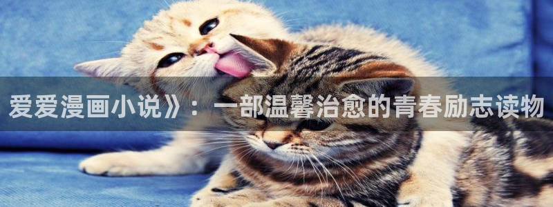www.漫蛙漫画com.