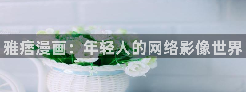 漫蛙漫画正版入口登录界面：雅痞漫画：年轻人的网络影像世界