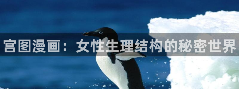 漫蛙下：宫图漫画：女性生理结构的秘密世界