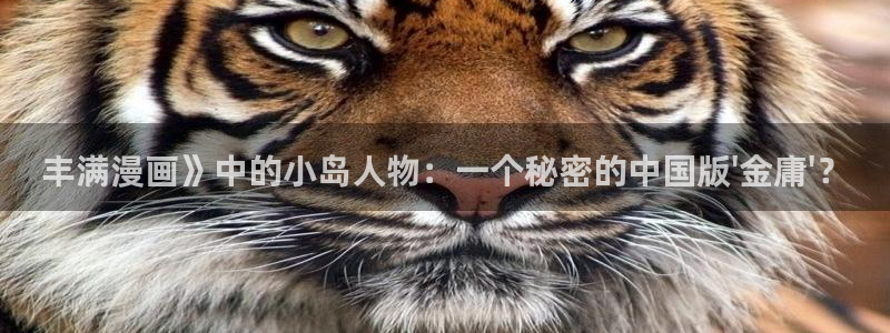 stukitora漫蛙漫画登录入口：丰满漫画》中的小岛人物：一个秘密的中国版\'金庸\'？