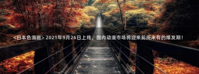 漫蛙素描漫画：<日本色漫画> 2021年9月26日上线，国内动漫市场将迎来前所未有的爆发期！