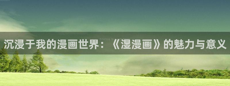 漫蛙manwa2正版：沉浸于我的漫画世界：《湿漫画》的魅力与意义