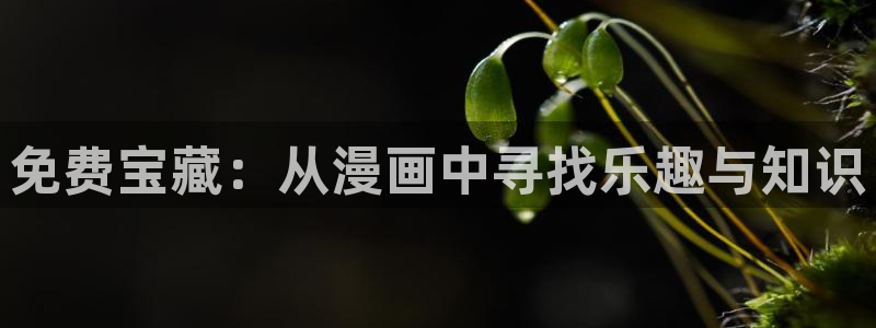 漫蛙app官网版下载：免费宝藏：从漫画中寻找乐趣与知识
